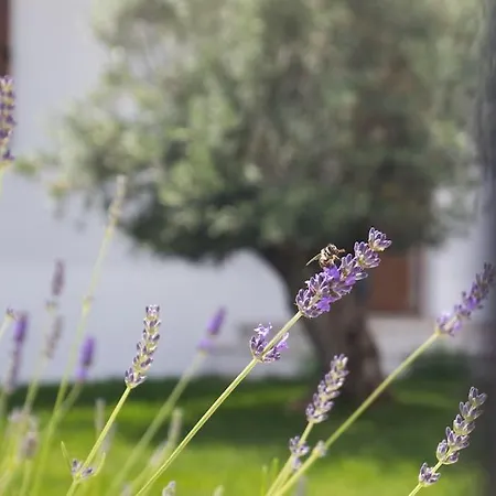 Casa Maya Deluxe With A Pool Apartman Opatija