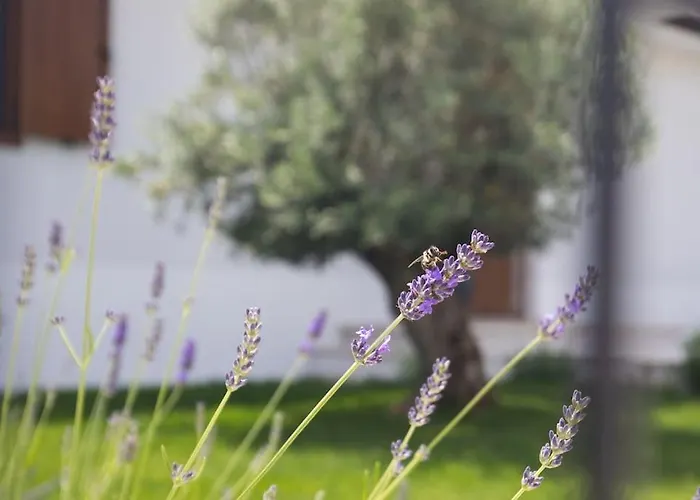 Casa Maya Deluxe With A Pool Appartement Opatija